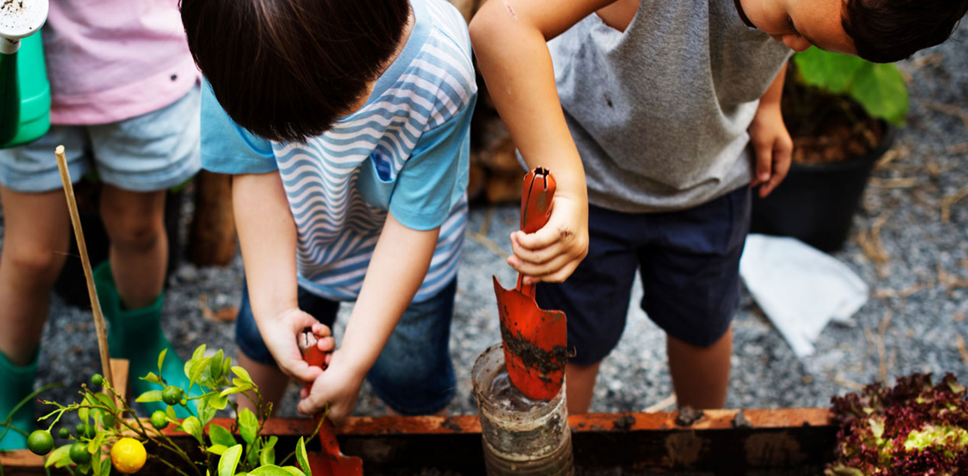 สิ่งแวดล้อมที่เอื้อต่อการพัฒนาทักษะการเรียนรู้ของเด็ก ๆ วัยเตรียมอนุบาล